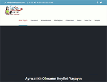 Tablet Screenshot of minekizyurdu.com